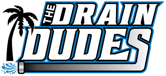 The-Drain-Dudes-LOGO-Transparent